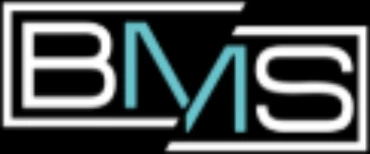 BMS Consultores